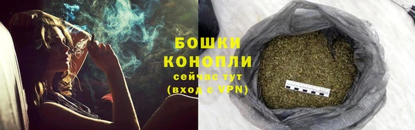 дмт Козельск